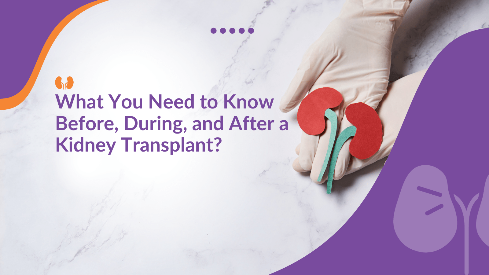 What You Need to Know Before, During, and After a Kidney Transplant?