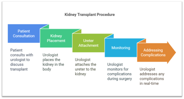 The Kidney Transplant Surgery Process